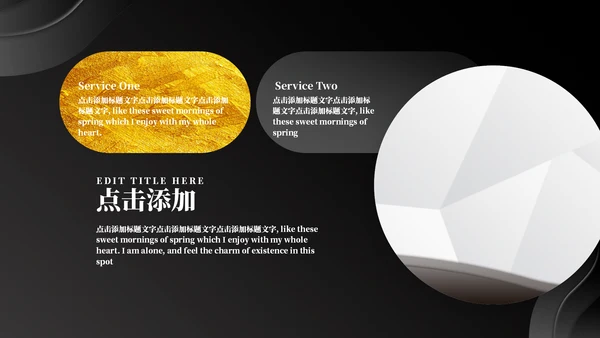 黑金质感商务计划书通用PPT模板