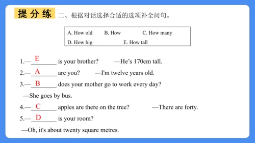 Module 1 复习课件 -2024-2025学年英语六年级上册（外研版三起）