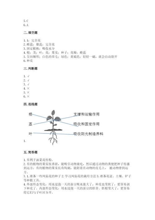 科学四年级下册第一单元植物的生长变化测试卷【达标题】.docx