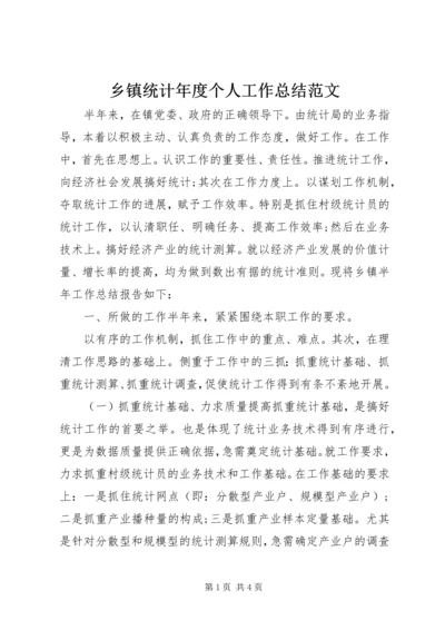 乡镇统计年度个人工作总结范文.docx