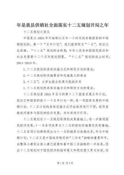 年是我县供销社全面落实十二五规划开局之年 (3).docx