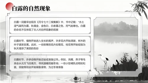 黑白色中国风白露节气学校主题班会PPT模板