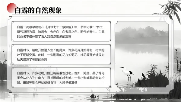 黑白色中国风白露节气学校主题班会PPT模板