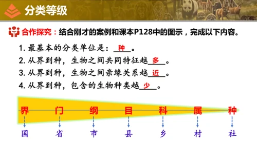 人教版生物七年级上册2.4.2《从种到界》（教学课件）(共16张PPT)