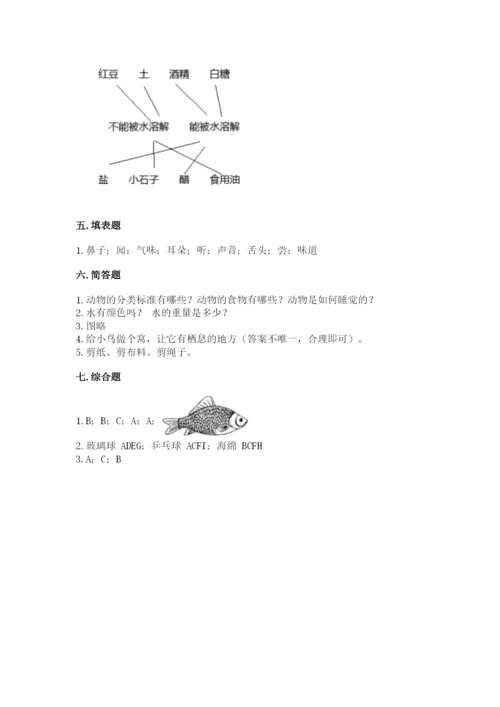 教科版小学科学一年级下册期末测试卷附参考答案（综合题）.docx