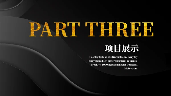 黑金质感商务计划书通用PPT模板