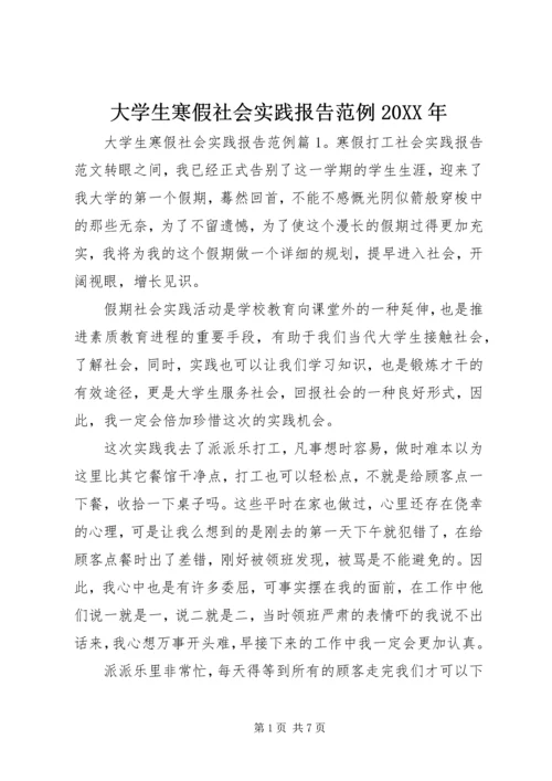 大学生寒假社会实践报告范例20XX年.docx