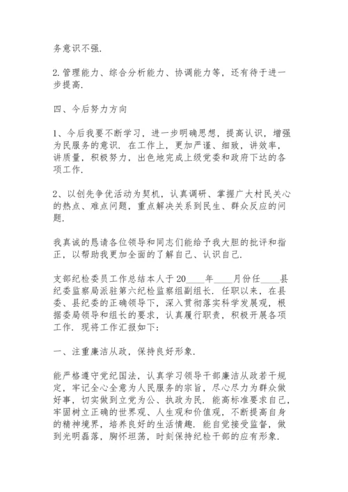 支部纪检委员工作总结.docx
