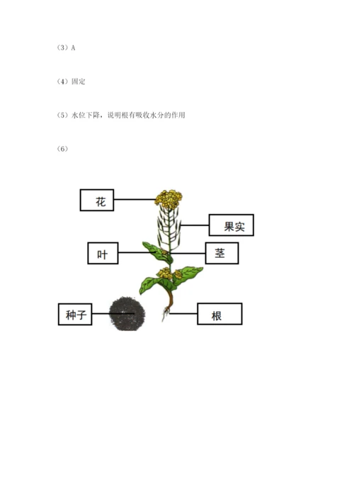 科学四年级下册第一单元植物的生长变化测试卷（名师推荐）.docx