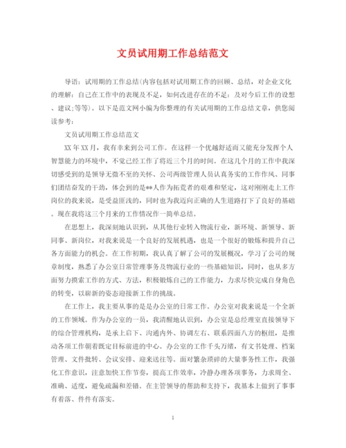 精编之文员试用期工作总结范文2.docx