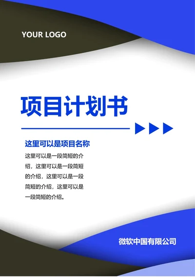 项目计划书