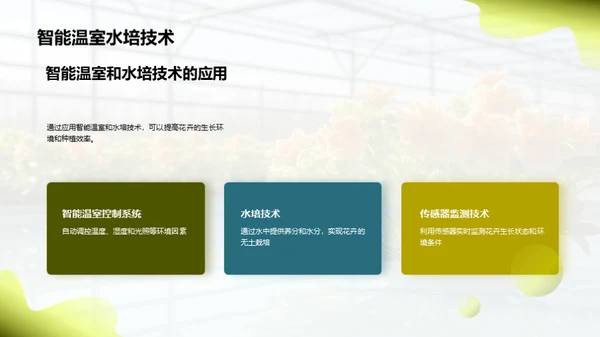 花卉产业：创新与策略