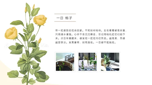 清醒纪植物绘小清新文艺女青年通用PPT模板