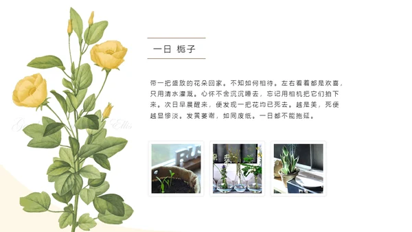清醒纪植物绘小清新文艺女青年通用PPT模板