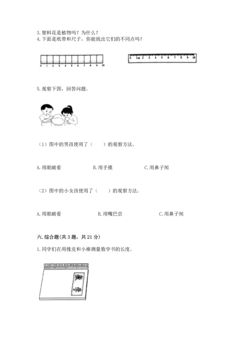 教科版一年级上册科学期末测试卷附参考答案（轻巧夺冠）.docx