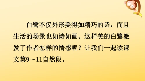 1 白鹭   课件