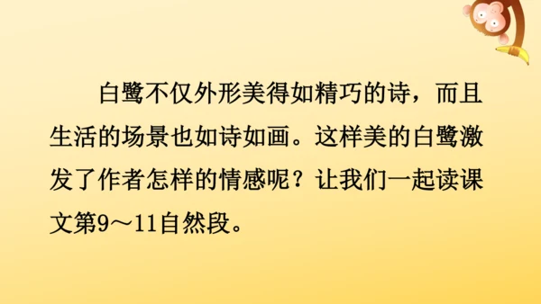 1 白鹭   课件