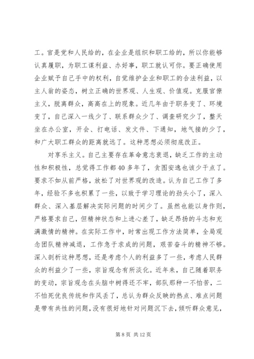 党的群众路线教育实践活动班子个人自查材料.docx
