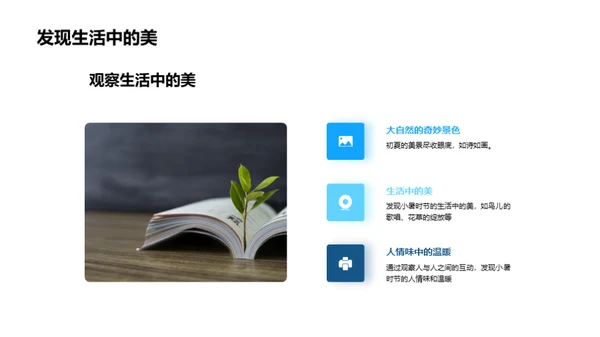 小暑生活，美在其中