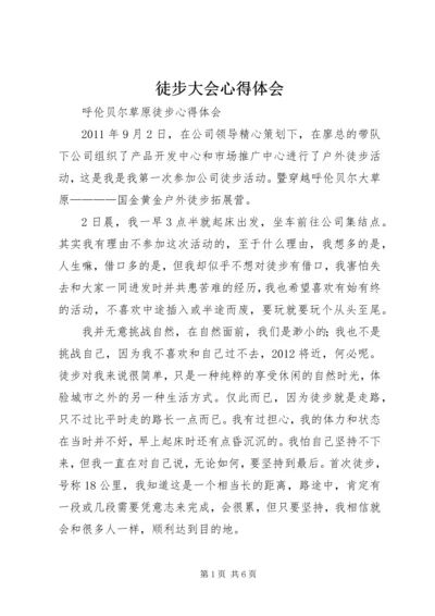 徒步大会心得体会 (3).docx