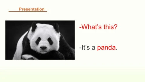 Unit 3 Amazing animals 第四课时课件（32张PPT，内嵌音视频)