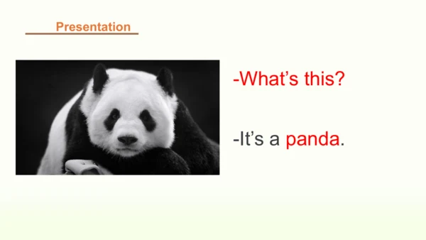 Unit 3 Amazing animals 第四课时课件（32张PPT，内嵌音视频)