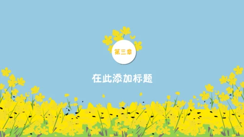 我们一起看油菜花幼儿教育通用PPT课件