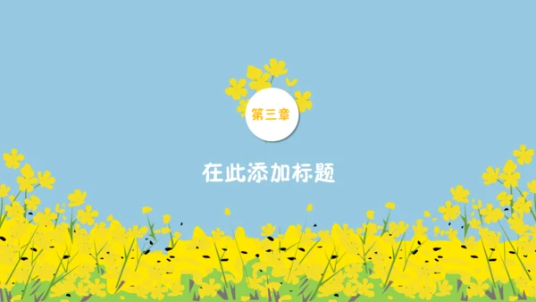 我们一起看油菜花幼儿教育通用PPT课件