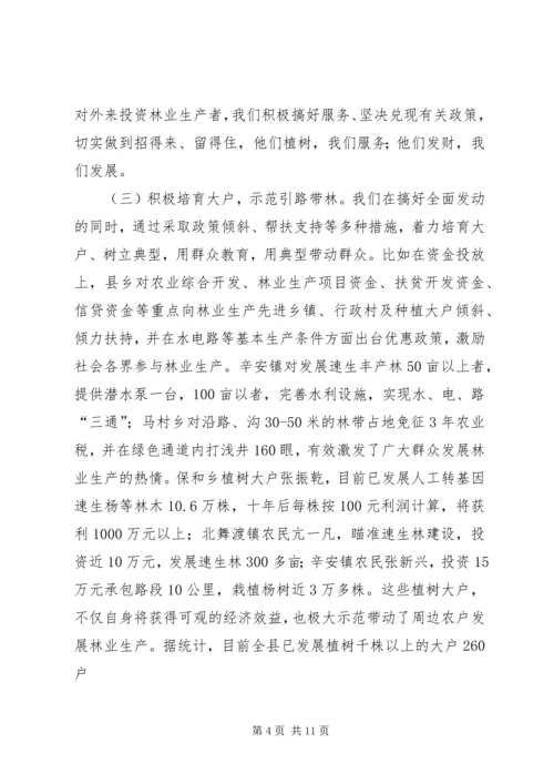 关于XX县大力发展林业生产全面激活农村经济的实践与思考.docx