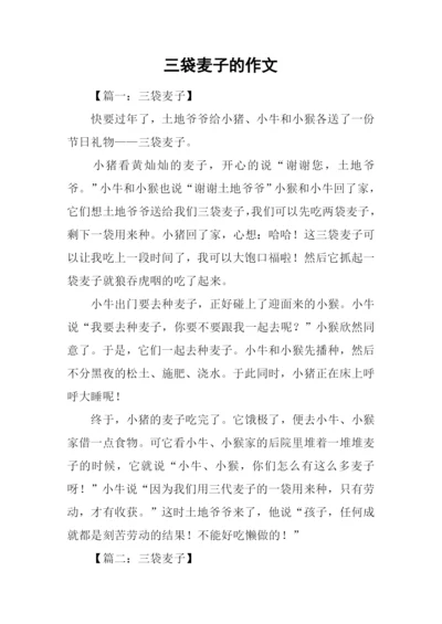 三袋麦子的作文.docx
