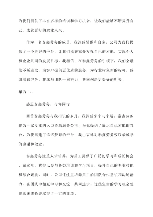 支持泰鑫劳务的感言