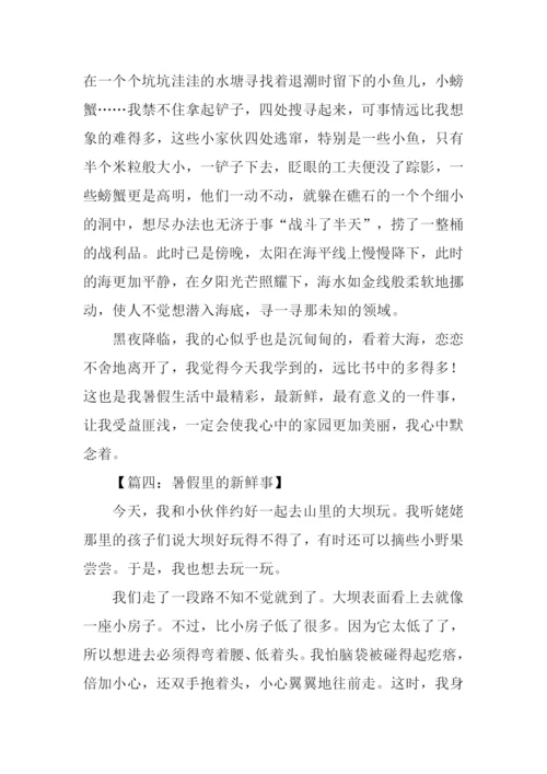 暑假里的新鲜事作文500字.docx