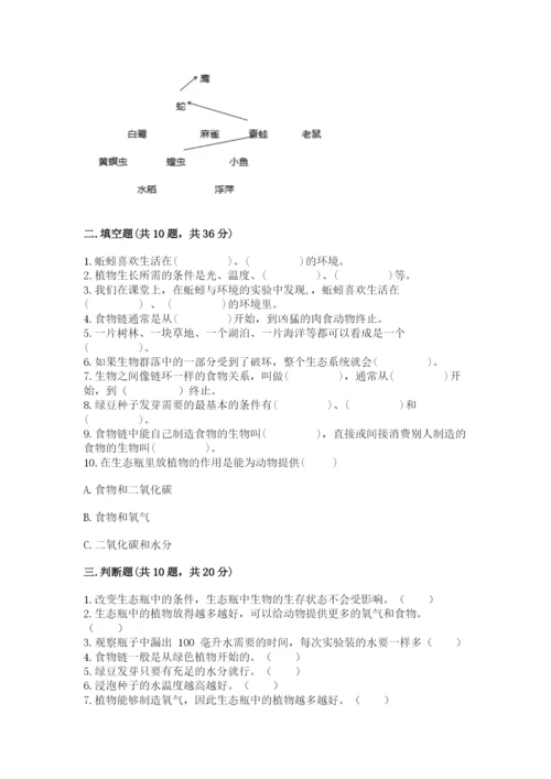 教科版科学五年级下册第一单元《生物与环境》测试卷附答案【综合卷】.docx