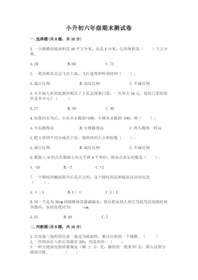 小升初六年级期末测试卷带答案（培优a卷）.docx