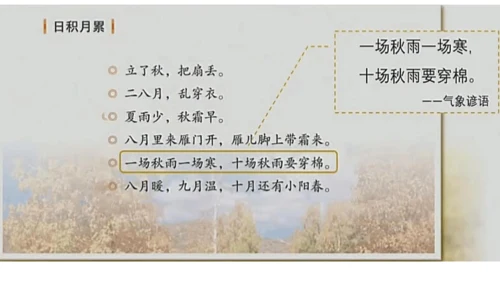 11 蟋蟀的住宅（课件）