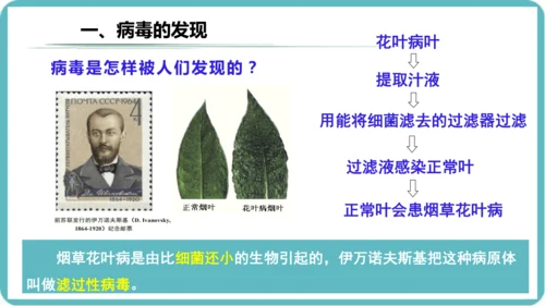 人教版生物七年级上册2.3.4《病毒》课件(共19张PPT)+视频素材