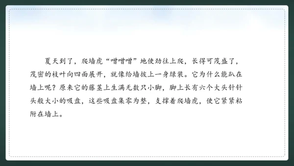 统编版语文三年级上册 第五单元  习作例文 我爱故乡的杨梅 课件
