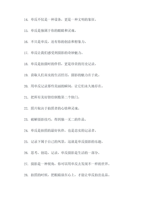 关于单反的俗语或谚语