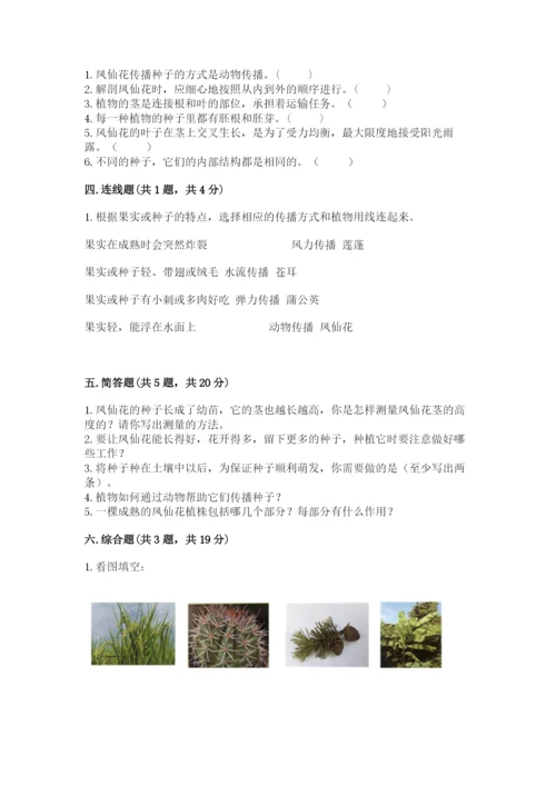 教科版四年级下册科学第一单元《植物的生长变化》测试卷【模拟题】.docx