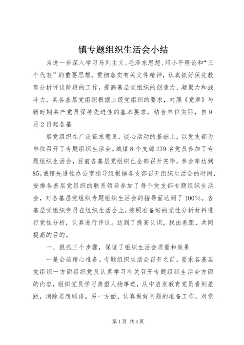 镇专题组织生活会小结 (4).docx