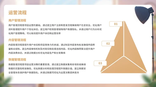 棕色卡通风网络行业商业计划书PPT