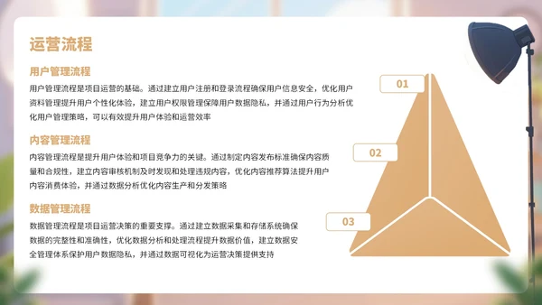棕色卡通风网络行业商业计划书PPT