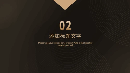 大气硬实力商业项目计划书通用PPT模板