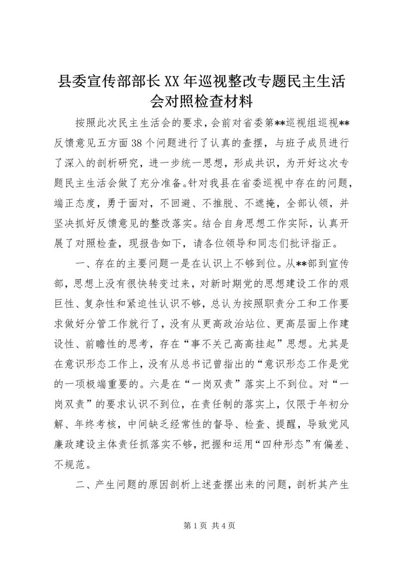 县委宣传部部长XX年巡视整改专题民主生活会对照检查材料.docx