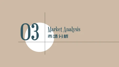 中年女性服装品牌营销策划通用PPT