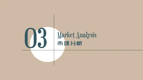 中年女性服装品牌营销策划通用PPT