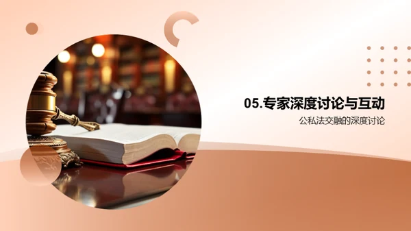 公私法交融透析