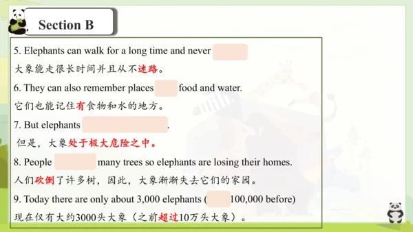 Unit 5 Why do you like pandas? 单元复习课件（人教新目标七年级下册）
