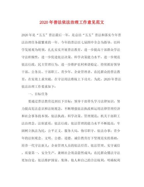 精编之年普法依法治理工作意见范文.docx