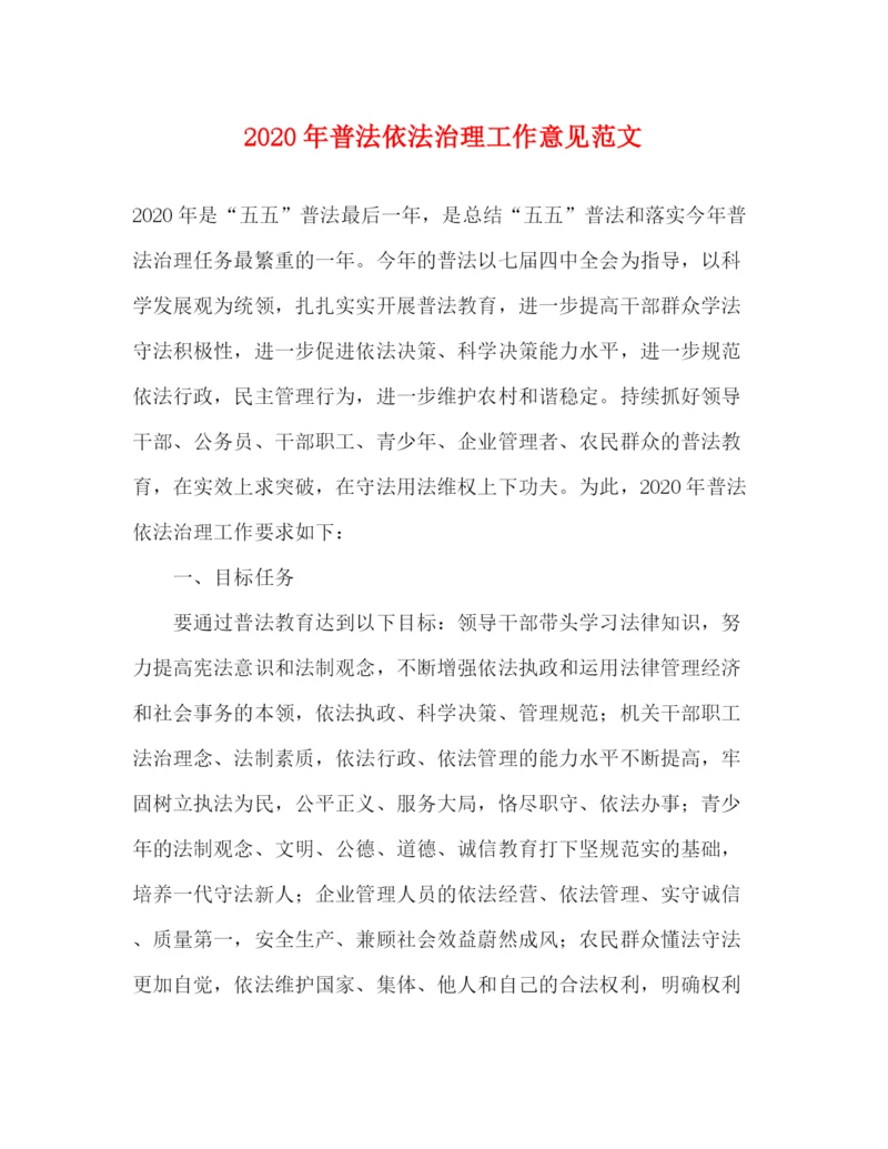 精编之年普法依法治理工作意见范文.docx